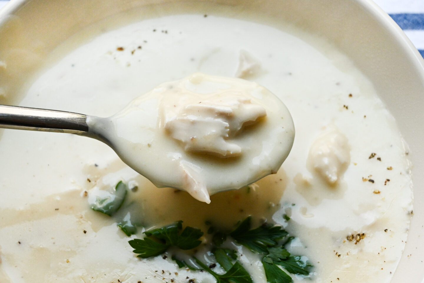 Spoonful of cream of chicken soup showing chunks of chicken